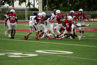 Gibbons-JV-PT-16