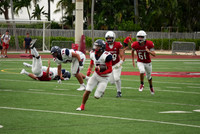 Gibbons-JV-PT-17