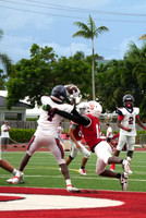 Gibbons-JV-PT-19