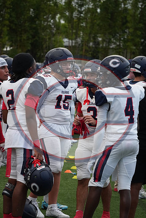 Gibbons-JV-PT-21