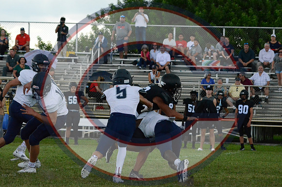 DSC_3206