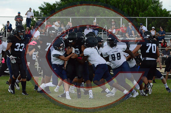 DSC_3212