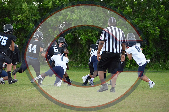 DSC_3233