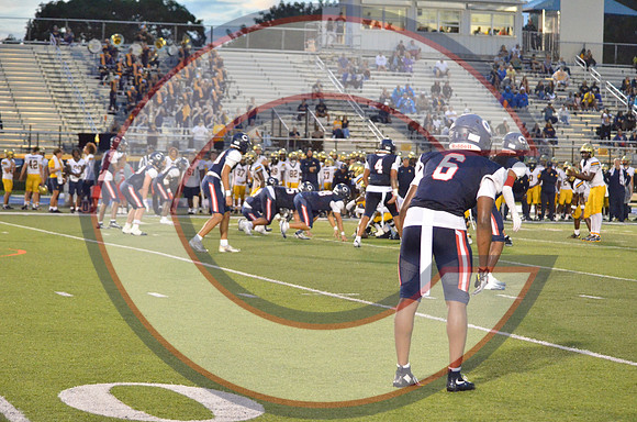DSC_9443