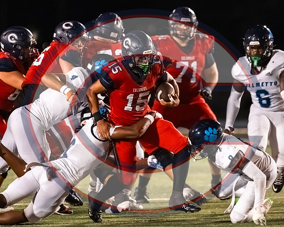 CCHS vs Palmetto - NHR-117