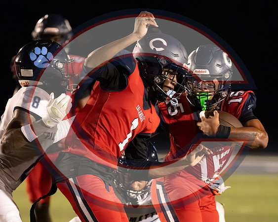 CCHS vs Palmetto - NHR-95
