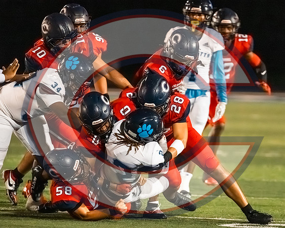 CCHS vs Palmetto - NHR-81