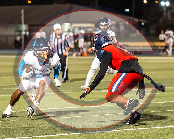 CCHS vs Palmetto - NHR-33