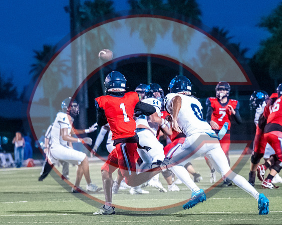 CCHS vs Palmetto - NHR-20