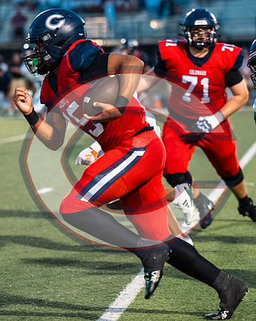 CCHS vs Palmetto - NHR-14