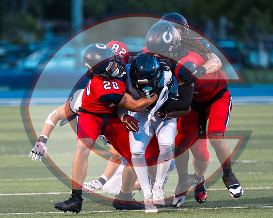 CCHS vs Palmetto - NHR-12