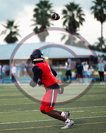 CCHS vs Palmetto - NHR-8