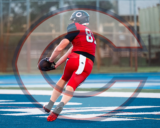 CCHS vs Palmetto - NHR-5