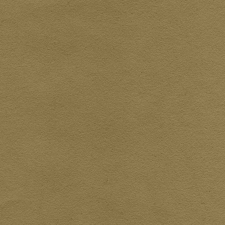 BackDrop049
