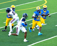 MNW JV8