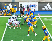 MNW JV4
