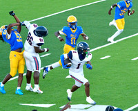 MNW JV9
