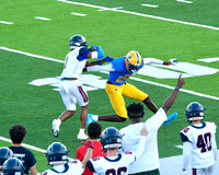 MNW JV10