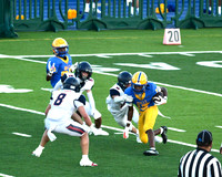 MNW JV 17