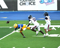 MNW JV19