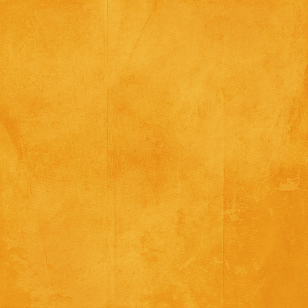 BackDrop074