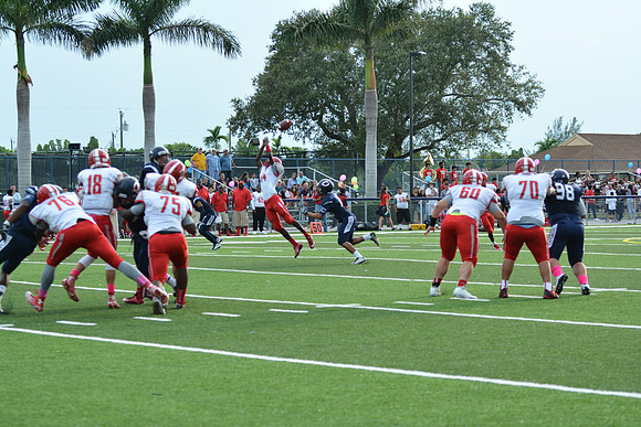 ROS_4113