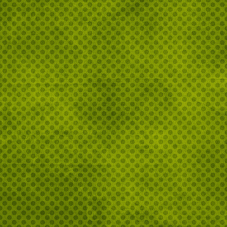 BackDrop065