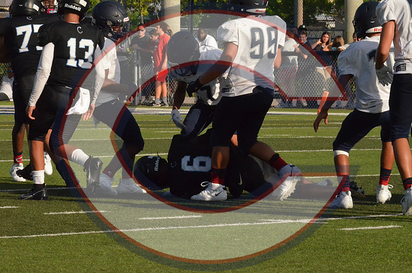 DSC_2719