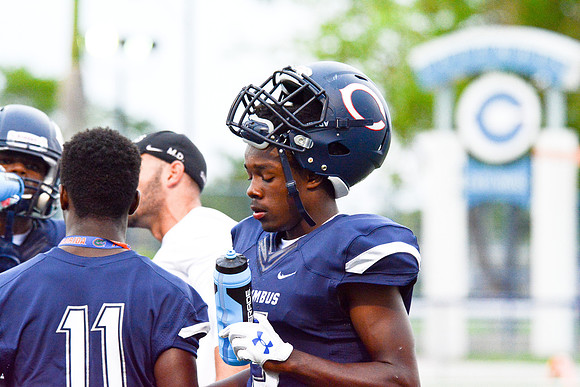 Miami High_479