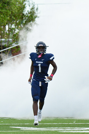 Lake Gibson_82
