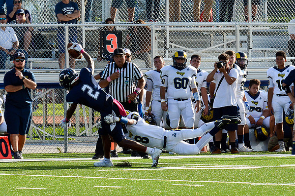 Coral Park_321