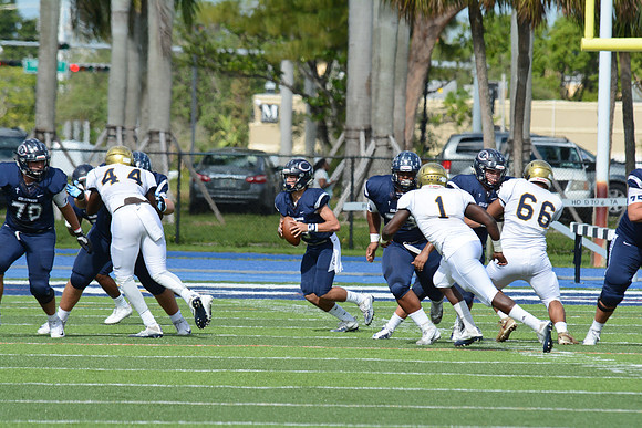 po Miami High_168