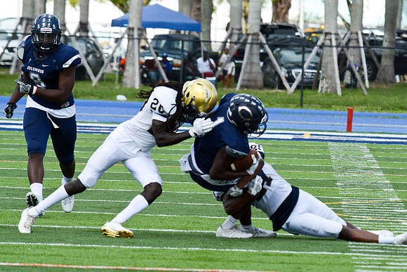 po Miami High_175