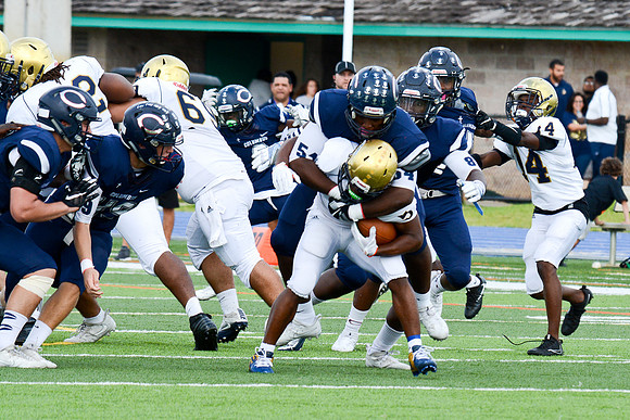 po Miami High_185