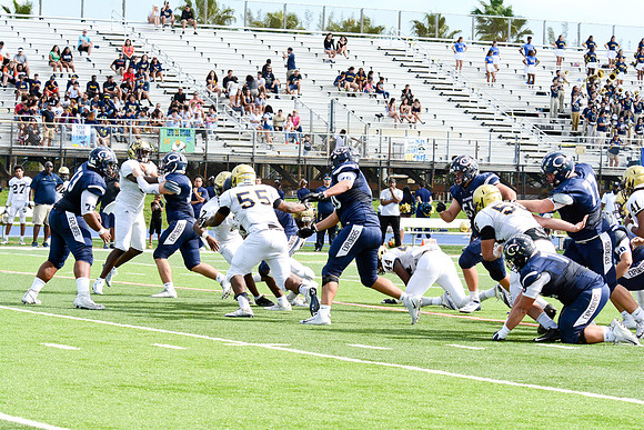 po Miami High_265