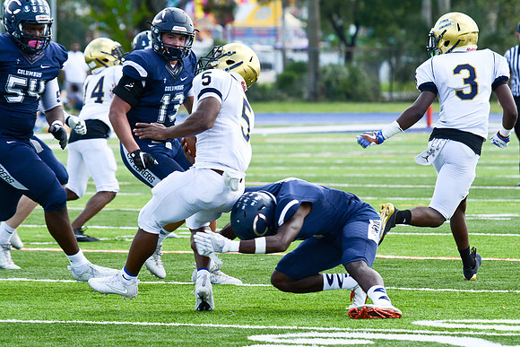 po Miami High_275