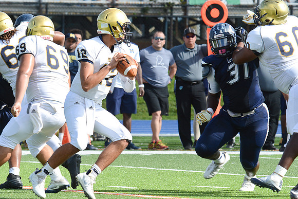 po Miami High_306
