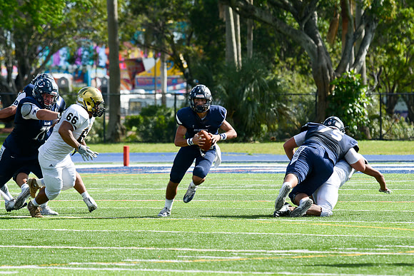 po Miami High_319
