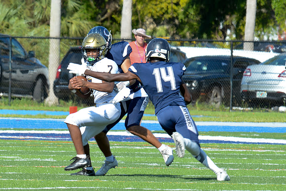 po Miami High_336