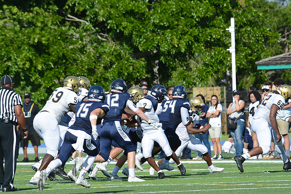 po Miami High_341