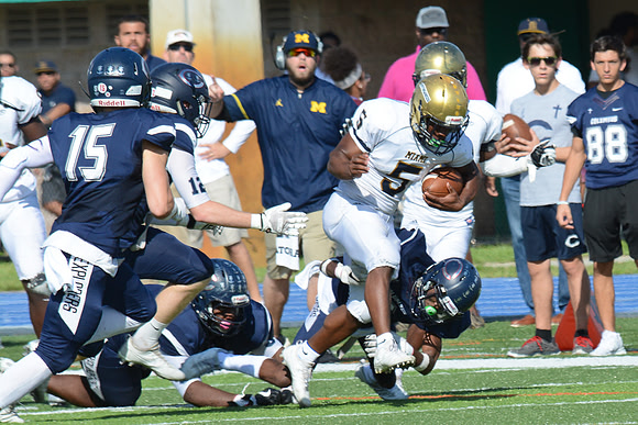 po Miami High_344