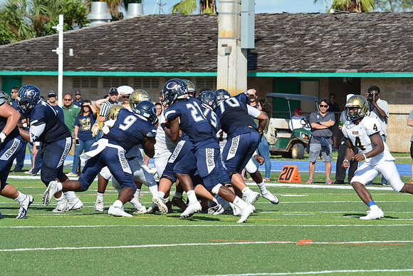 po Miami High_398