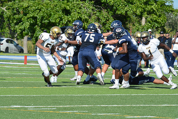 po Miami High_409