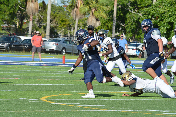 po Miami High_412