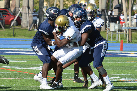 po Miami High_443