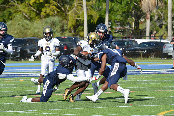 po Miami High_450