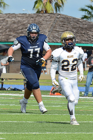 po Miami High_482