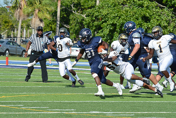po Miami High_411