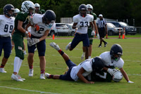 NG4391