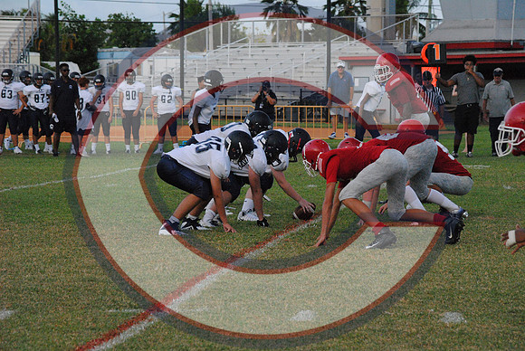 DSC_7458